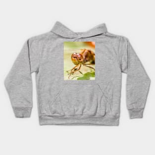 Autumn Meadowhawk Dragonfly, Macro Photography Kids Hoodie